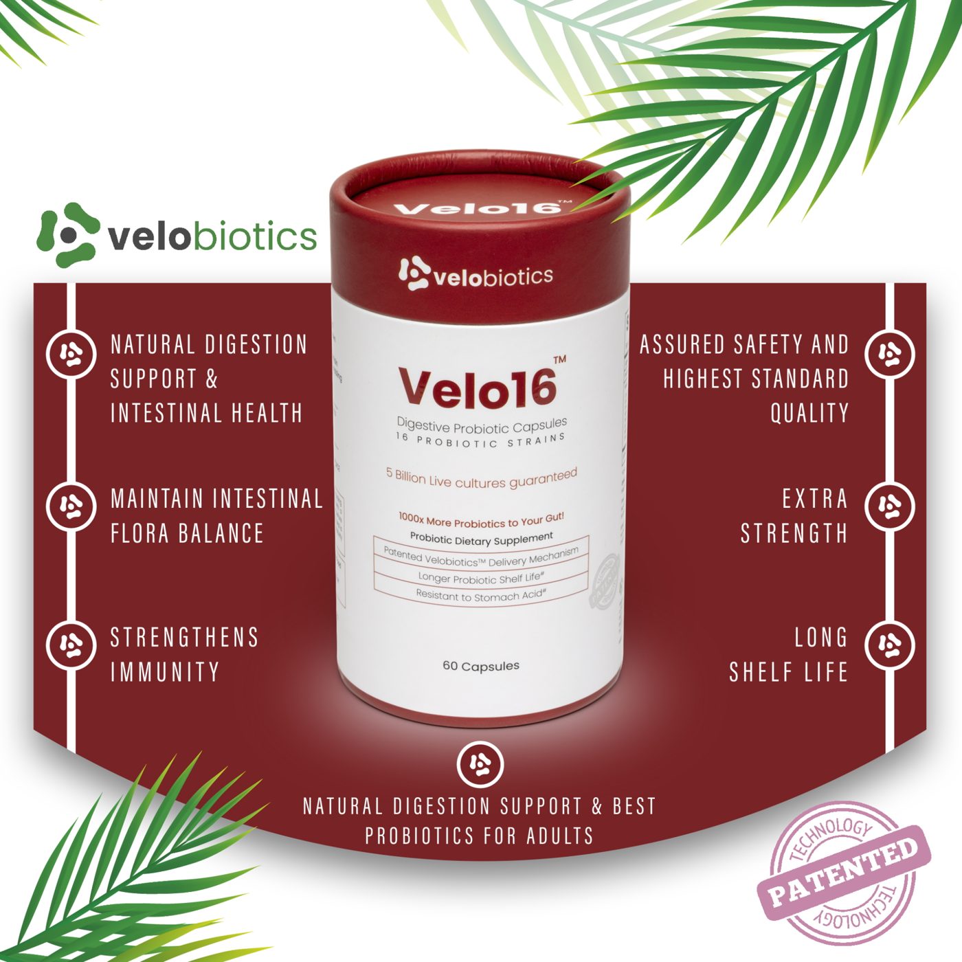 Velo16 Probiotic Digestive Capsules (60 Capsules)