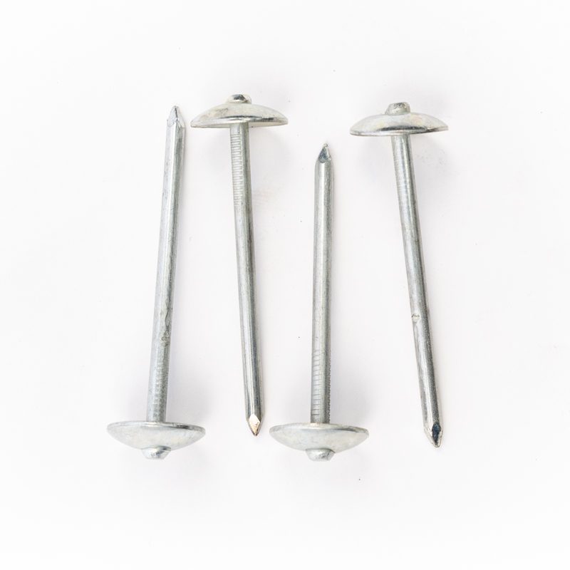 Roofing Nails 1kg