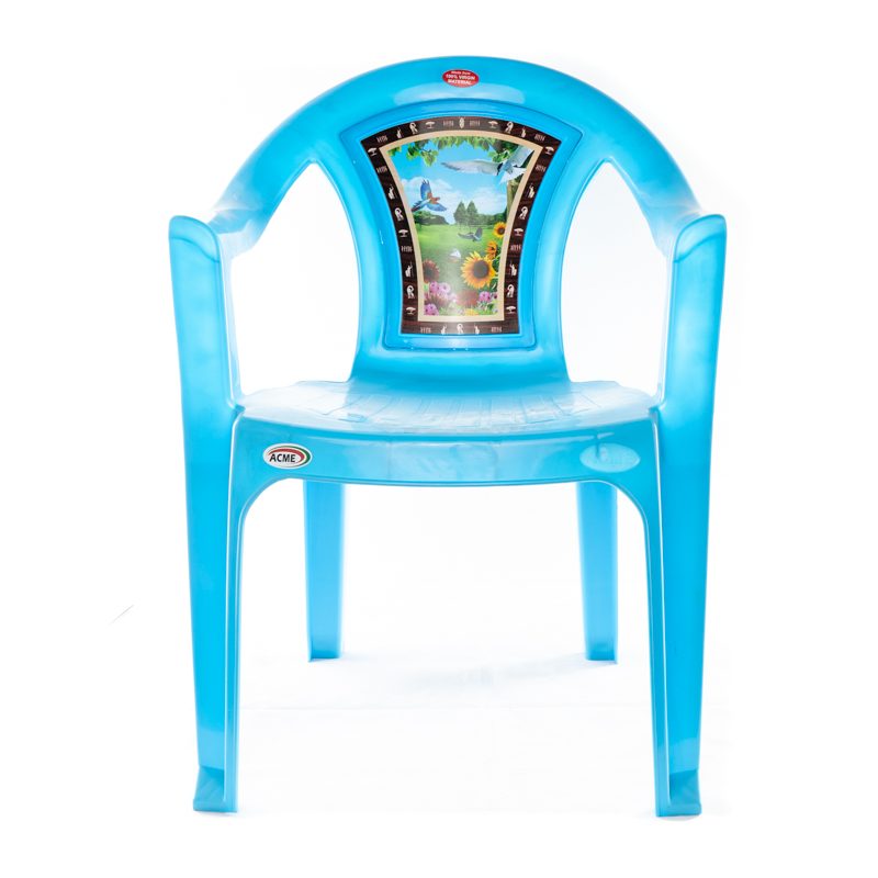 Acme Decorated Bird Chair – 001 Sky Blue