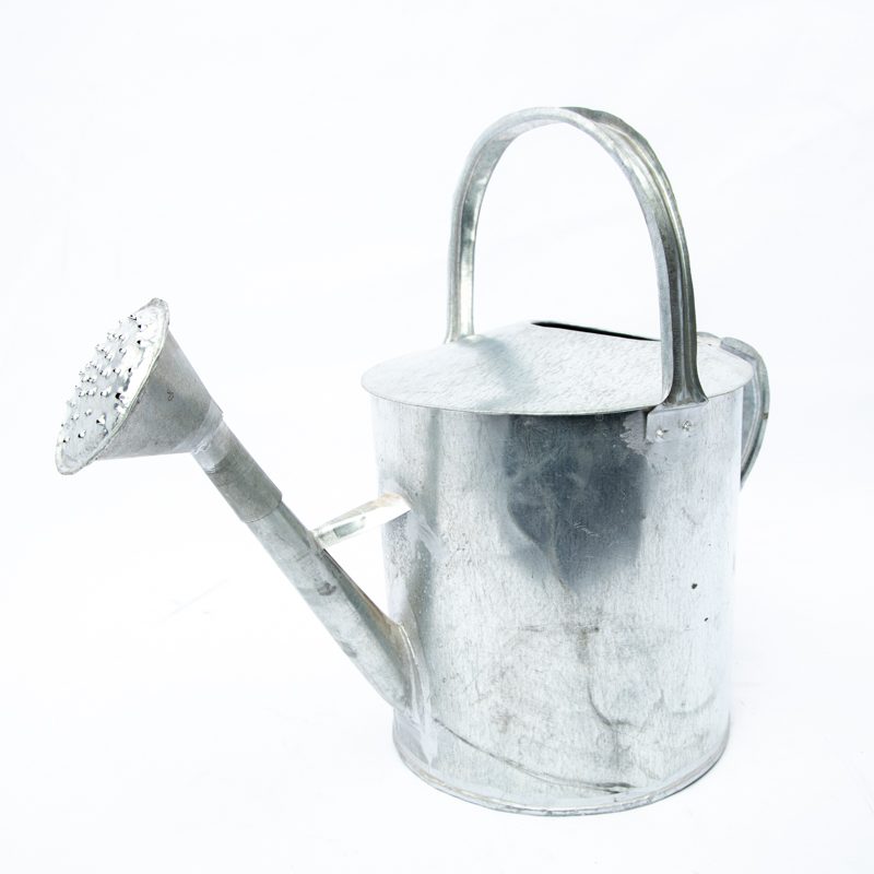Metalic Watering Can