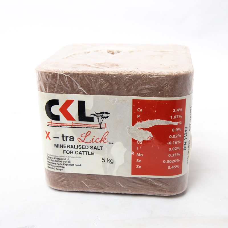 CKL X-tra Brick Animal Block Salt 5kg