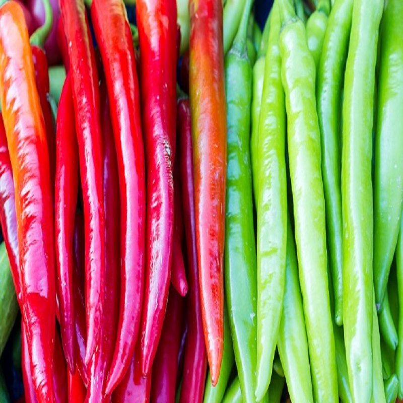 Simlaw Seeds Capsicum- Hot Long Red Cayenne 10g