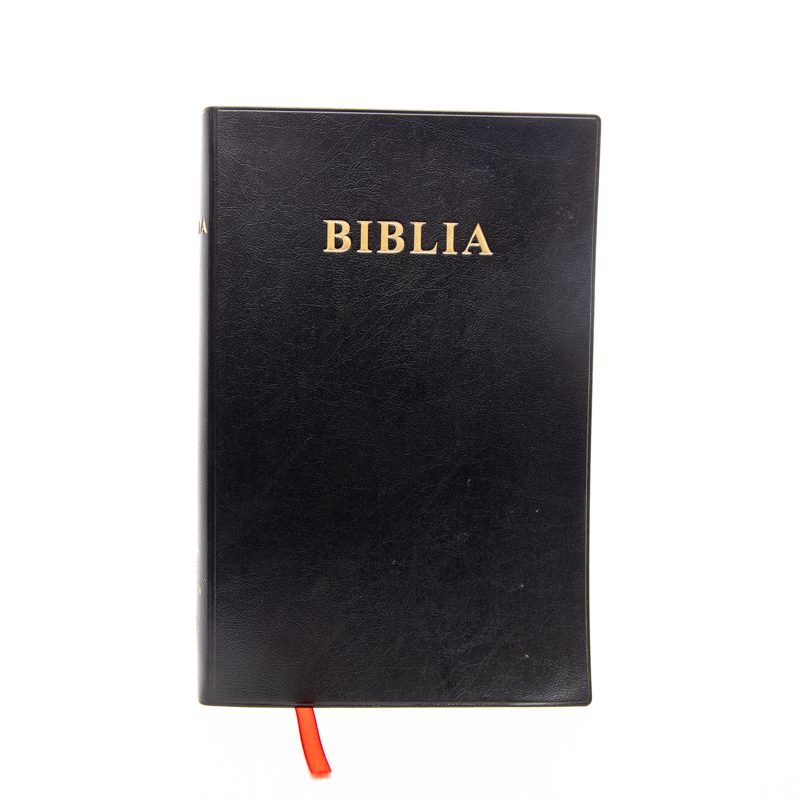 Swahili Bible