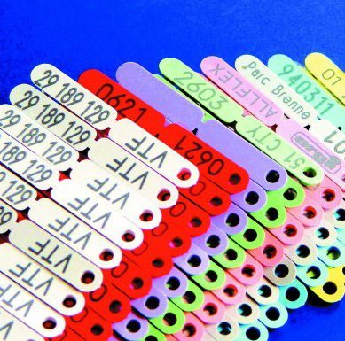 Pin Type Printed Ear Tags Large (Printed)