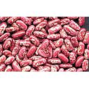 Simlaw Bean Seeds Rose Coco [glp 2] 2Kg