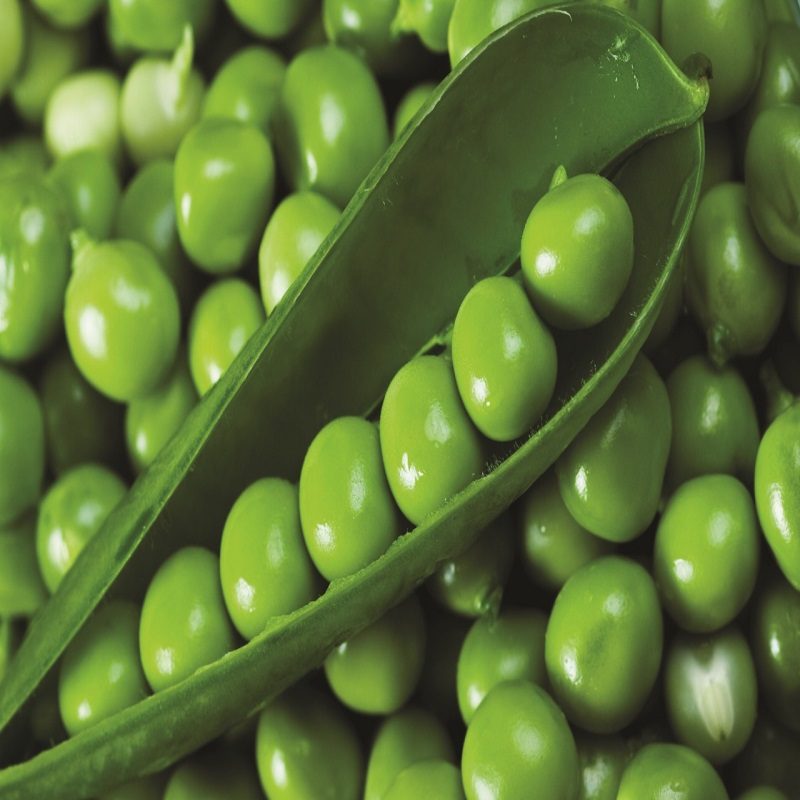 Simlaw Peas Seeds Peas Plum (1Kg)