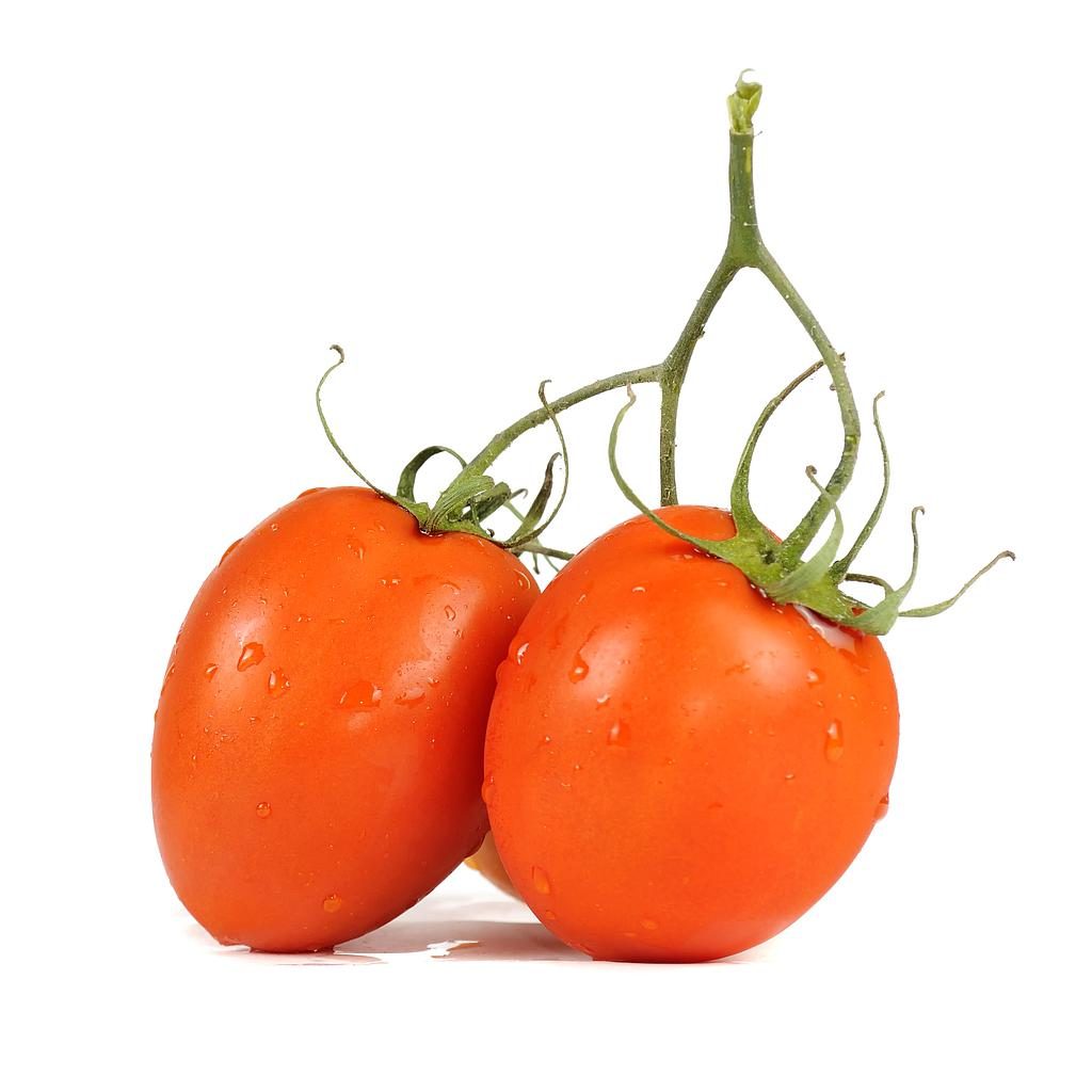 Simlaw Tomato Seeds Rio Grande Vf 10g